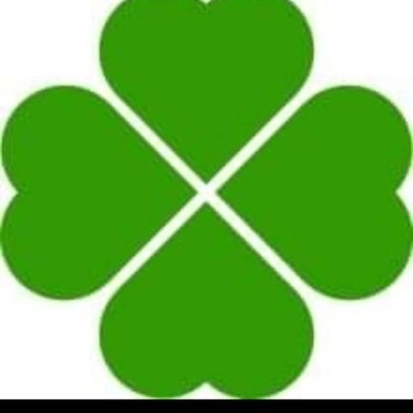 Meet your Posher, Sidra - Picture 1 of 1